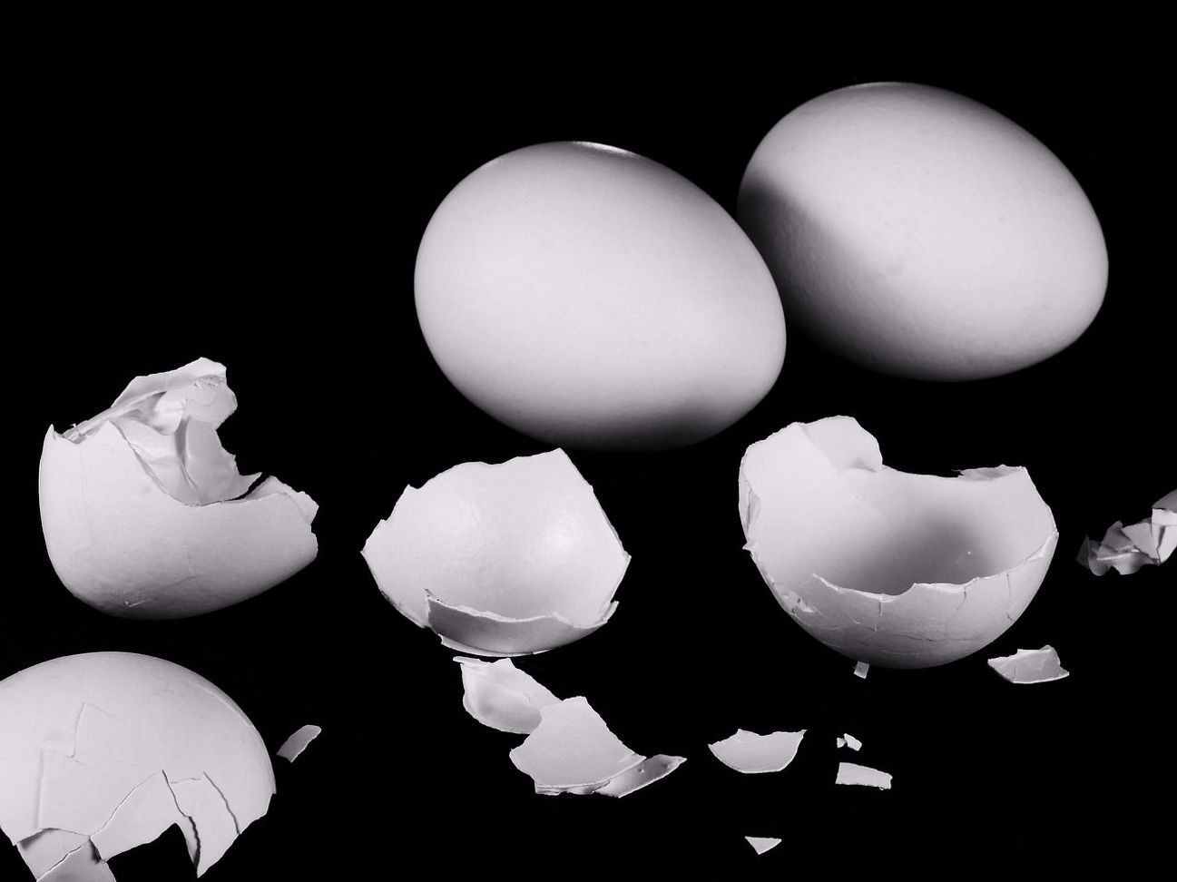 Sustainable egg delivery