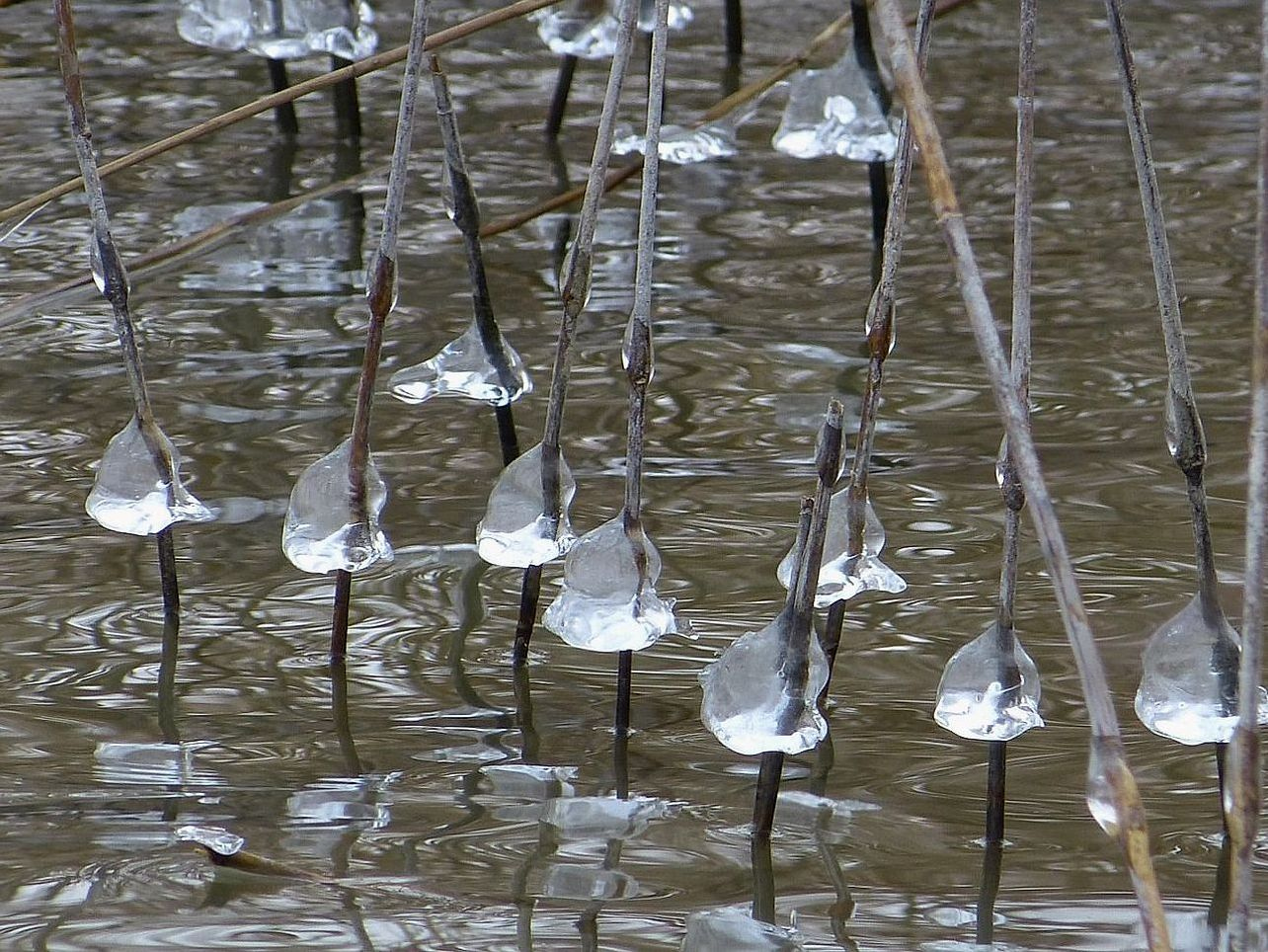 Pescadores em um lago de montanha ao nascer do sol